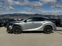 
										2023 Lexus RX full									