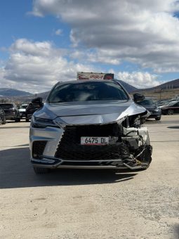 
										2023 Lexus RX full									