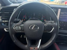 
										2023 Lexus RX full									