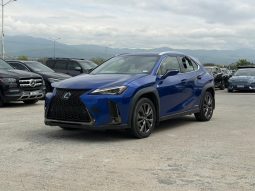 
										2019 Lexus UX 250H full									