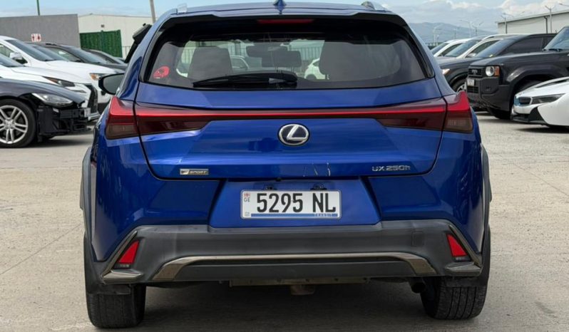 
								2019 Lexus UX 250H full									