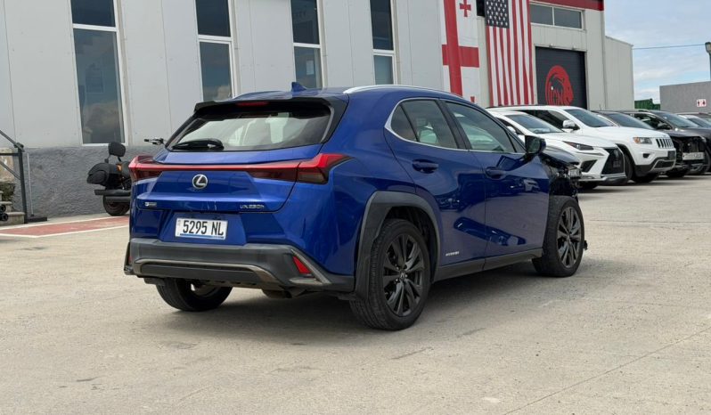 
								2019 Lexus UX 250H full									