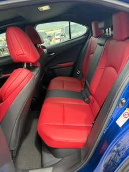 
										2019 Lexus UX 250H full									