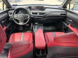 
										2019 Lexus UX 250H full									