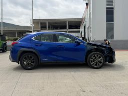 
										2019 Lexus UX 250H full									
