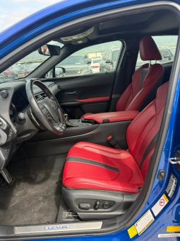 
										2019 Lexus UX 250H full									