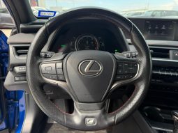 
										2019 Lexus UX 250H full									