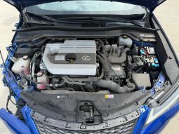 
										2019 Lexus UX 250H full									
