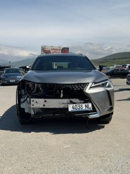 
										Lexus UX 250h full									