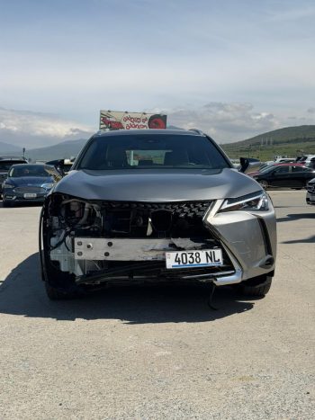 Lexus UX 250h