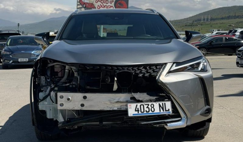
								Lexus UX 250h full									