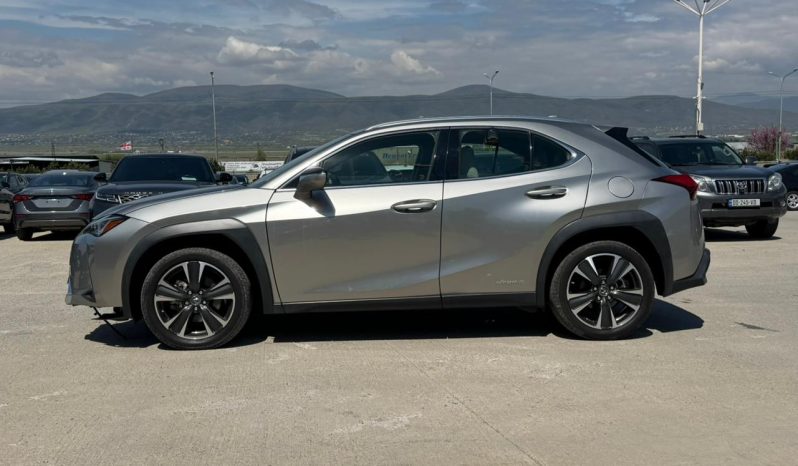 
								Lexus UX 250h full									
