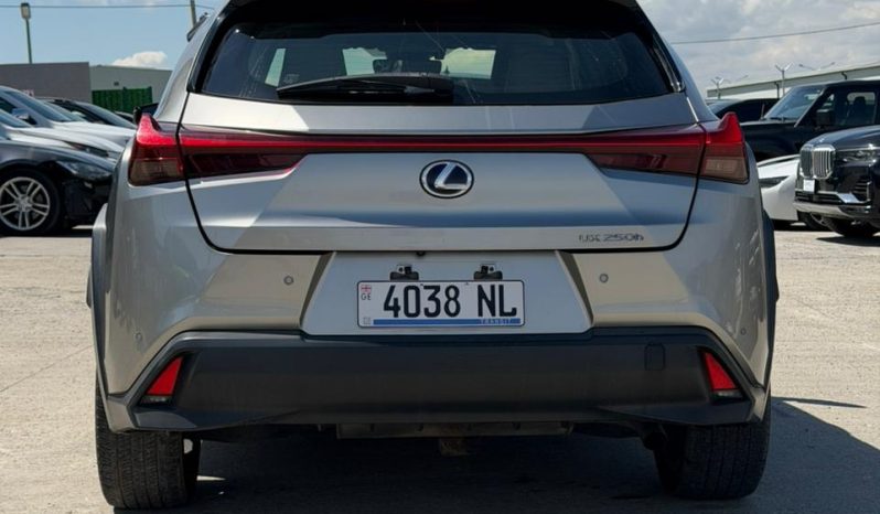
								Lexus UX 250h full									