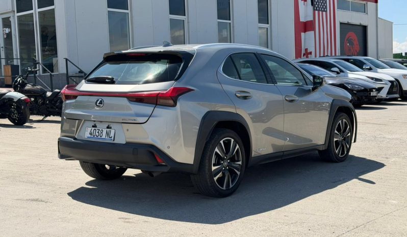 
								Lexus UX 250h full									