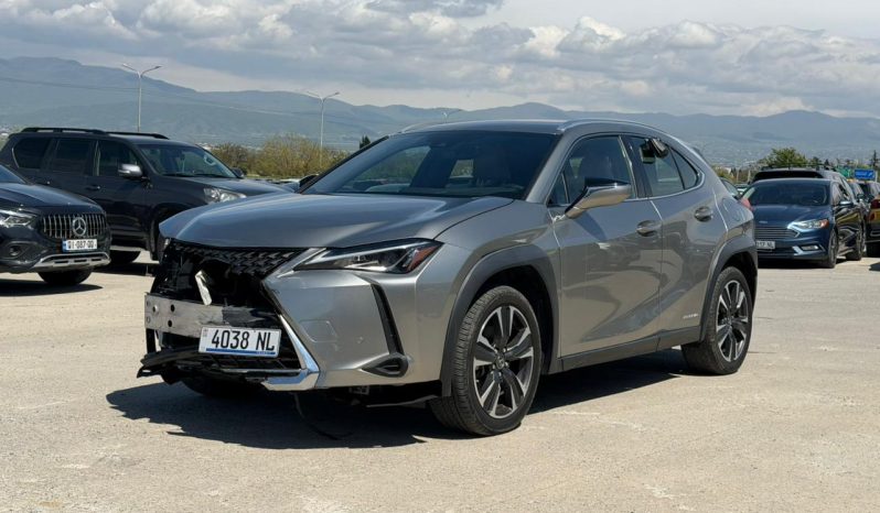 
								Lexus UX 250h full									