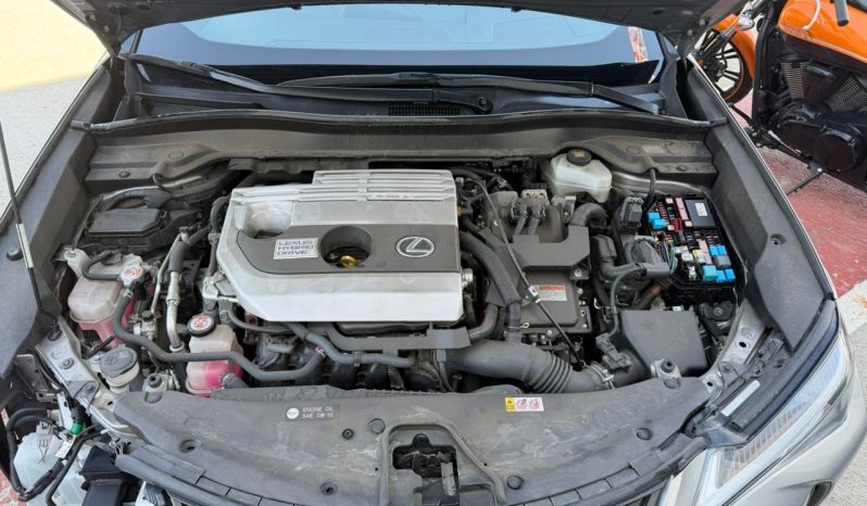
								Lexus UX 250h full									