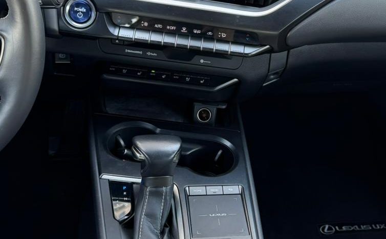 
								Lexus UX 250h full									