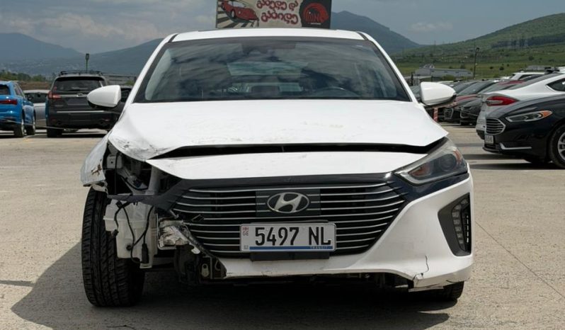 
								2017 Hyundai Ioniq full									