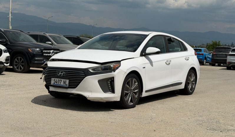 
								2017 Hyundai Ioniq full									