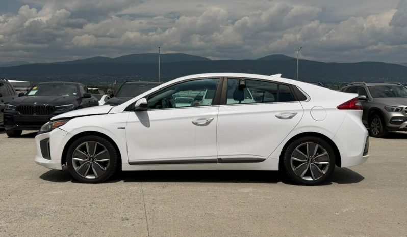 
								2017 Hyundai Ioniq full									