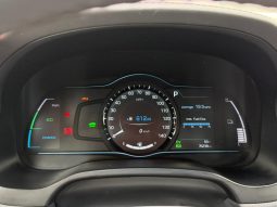 
										2017 Hyundai Ioniq full									