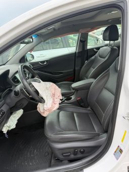 
										2017 Hyundai Ioniq full									