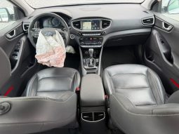 
										2017 Hyundai Ioniq full									