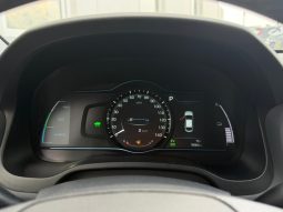 
										Hyundai Ioniq full									