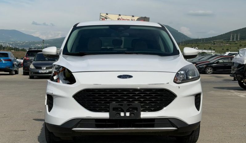 
								Ford Escape full									