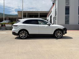 
										2019 Porsche Cayenne full									