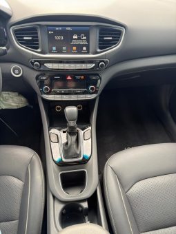 
										Hyundai Ioniq full									