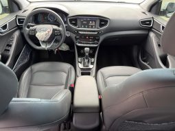 
										Hyundai Ioniq full									