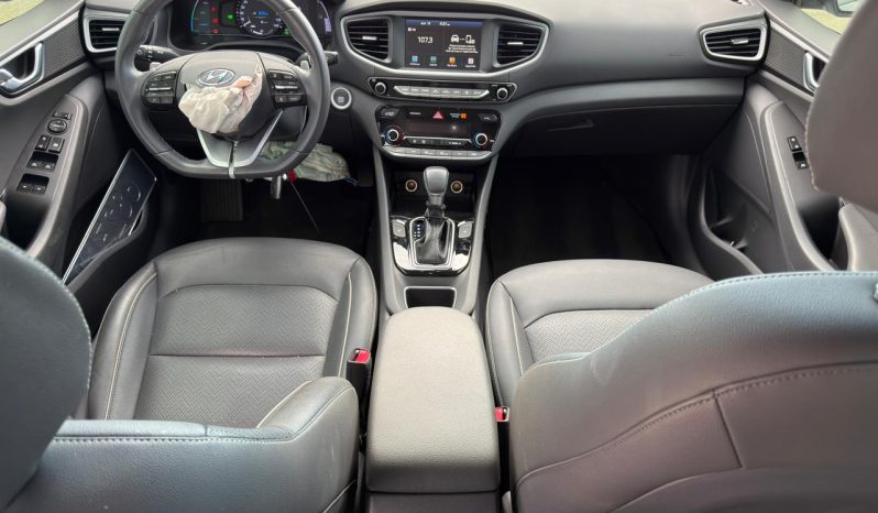 
								Hyundai Ioniq full									