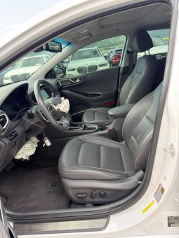 
										Hyundai Ioniq full									