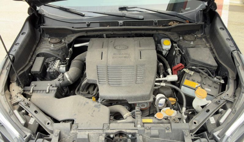 
								2023 Subaru Forester full									