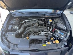 
										2021 Subaru Crosstrek full									