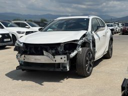 
										Lexus UX 250h full									