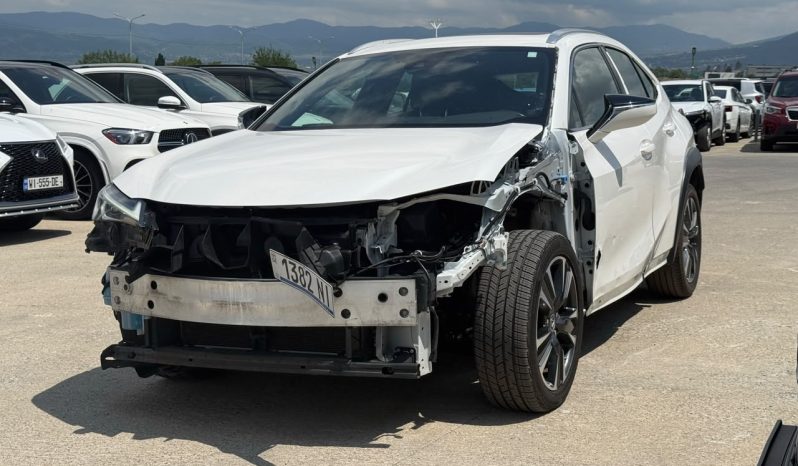 
								Lexus UX 250h full									