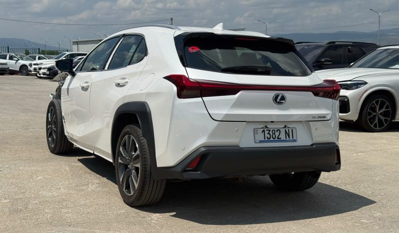 
								Lexus UX 250h full									