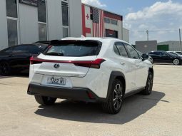 
										Lexus UX 250h full									