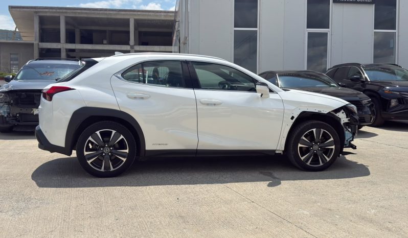 
								Lexus UX 250h full									