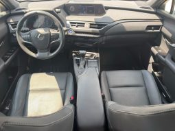 
										Lexus UX 250h full									