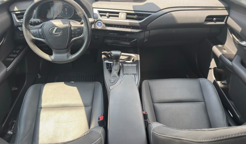 
								Lexus UX 250h full									