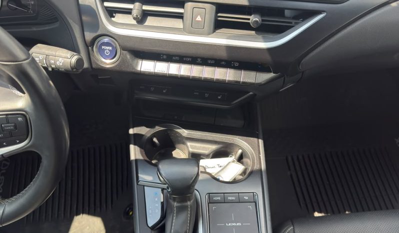 
								Lexus UX 250h full									