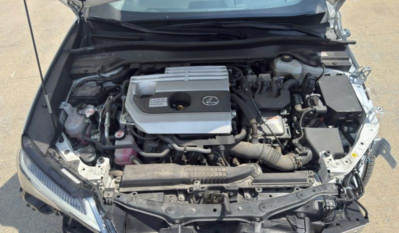 
								Lexus UX 250h full									