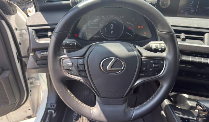 
								Lexus UX 250h full									