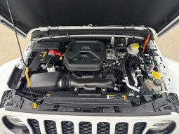 
										2021 Jeep Wrangler full									