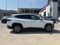 
										Hyundai Tucson Hybrid full									