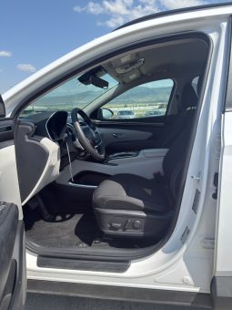 
										Hyundai Tucson Hybrid full									