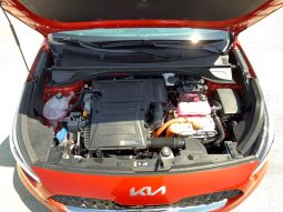 
										Kia Niro full									